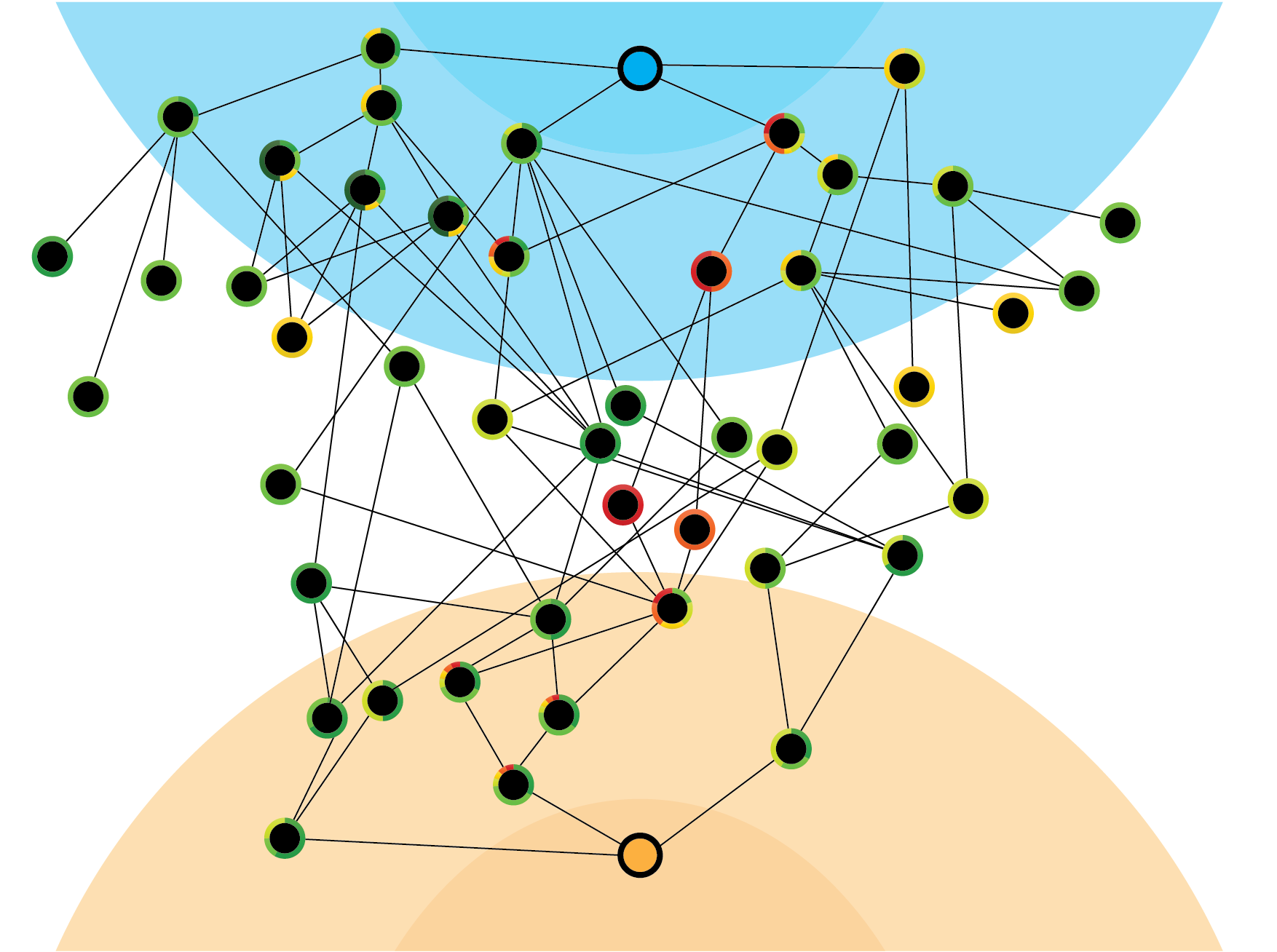 Vit Tall advanced analytic and key node assessment visualization